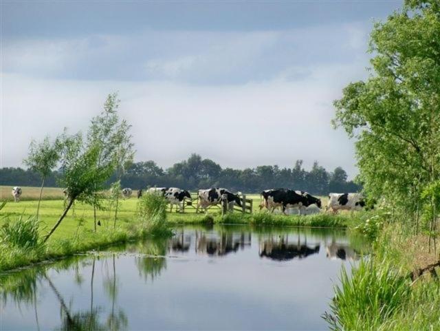Aparthotel Apud Nos Domi Polsbroek Esterno foto